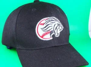 Embroidery for sport teams in hawthorne black hat &raquo; Pipil Print